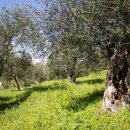 Noradia Corfu * Achílleion